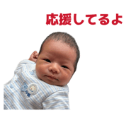 852090648