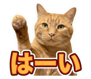 852091590