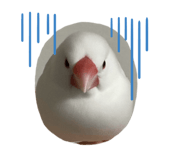 852092563