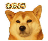 852092605