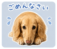 852094658