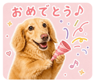 852094671