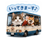 852094771