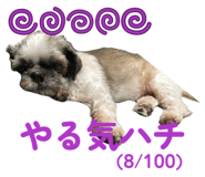 852095589