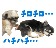 852095592
