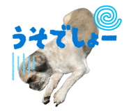 852095611