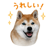 852095898