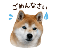 852095901