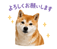 852095902