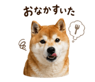 852095905