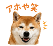 852095909