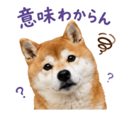 852095912
