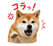 852095913