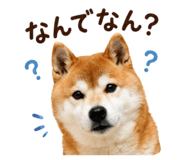 852095914