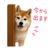 852095918