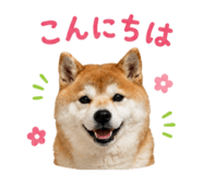 852095920