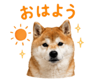 852095921