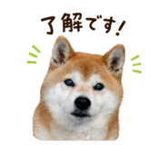 852095925