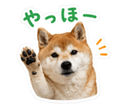 852095928