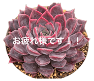 852098449