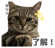 852112798
