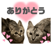 852112800