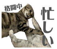 852112817