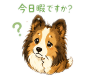 852113904