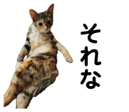852116671