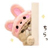 852132867