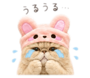 852132868