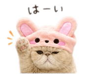 852132880