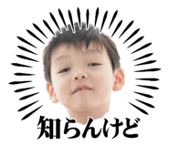 852133018