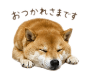 852134774