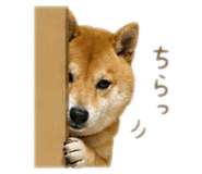 852134776