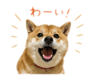 852134777