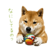 852134778