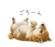 852134779