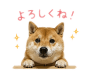 852134781