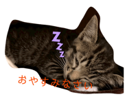 852136668