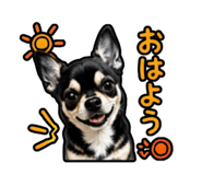 852136705