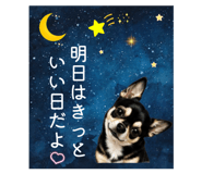 852136720