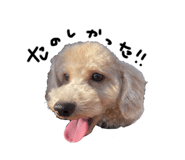 852136905