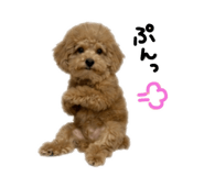 852136915