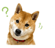 852137017