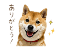 852137019