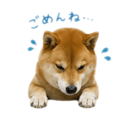 852137023