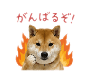 852137029