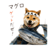 852137030