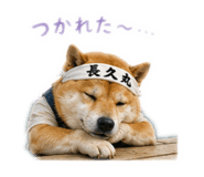 852137032